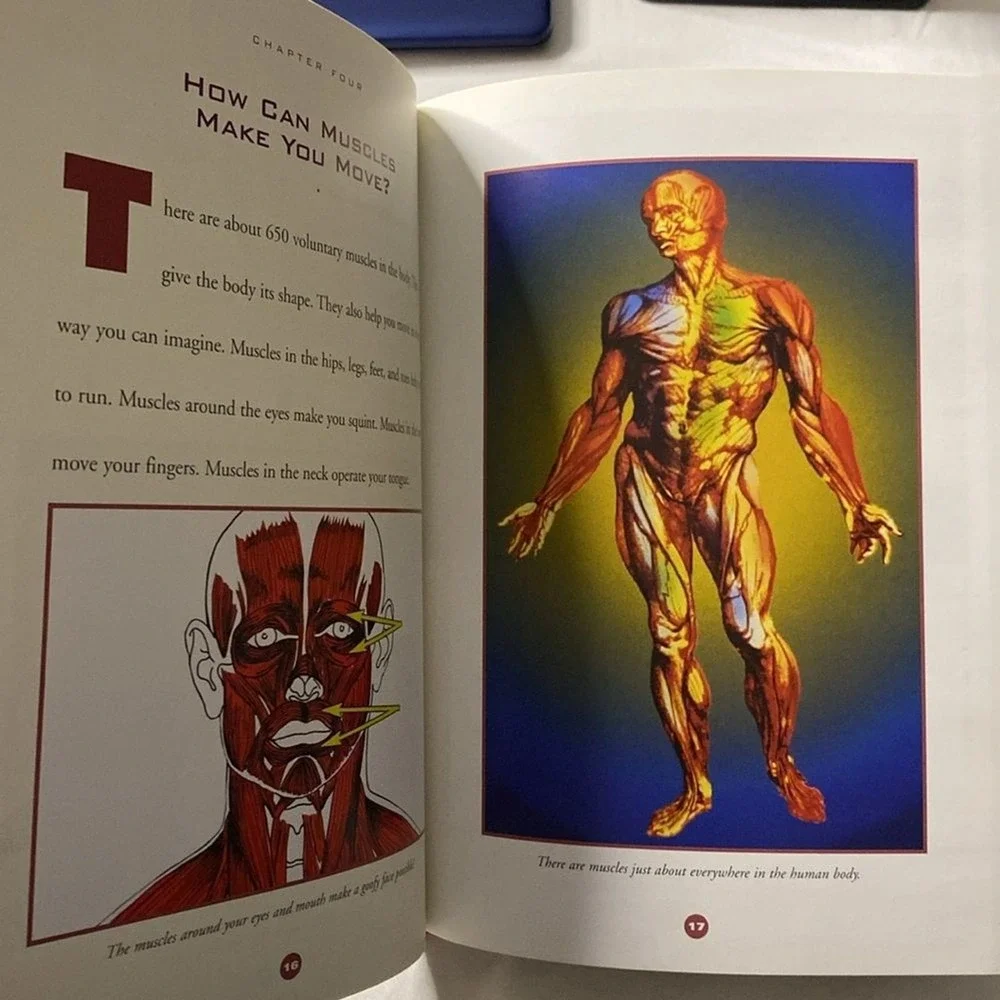 The Human Body The Muscular System by Susan Gray Elementary Library Kid Learning